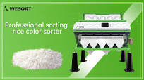 𝑷𝒓𝒐𝒇𝒆𝒔𝒔𝒊𝒐𝒏𝒂𝒍 𝑺𝒐𝒓𝒕𝒊𝒏𝒈 𝑹𝒊𝒄𝒆 𝑪𝒐𝒍𝒐𝒓 𝑺𝒐𝒓𝒕𝒆𝒓,  Welcome to our professional rice color separation process! In this video,  you will see how our advanced color sorting machine efficiently and  accurately sorts ...
