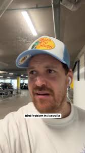 Magpie spotted in backyard