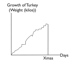 the turkey problem stephen kinsella