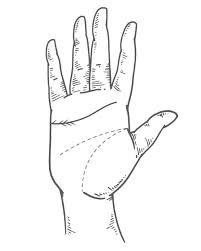 Palmistry involves learning a person's fortune, characteristics, and future by analyzing his/her palms. What Your Palm Lines Can Reveal About Your Love Life