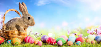 It is said that the reason this tradition started was because of the easter bunny dropped the. Easter Egg Tips Loughborough University