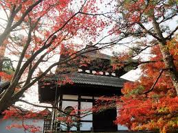 天涼秋意濃京都不可錯過的賞楓景點6大精選 matcha與在地人同趣的日本旅遊指南 旅行酒吧 house styles house home decor