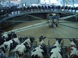 Fair Oaks Farm In Fair Oaks Indiana One Of The Largest Dairy Farms In The Usa It S Also Become A Sort Of Agrotourism Destination