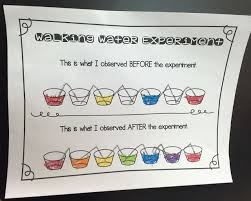 Walking Water Experiement Kindergarten Rocks First Grade Science Projects Water Science Experiments Kindergarten Rocks