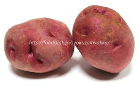 アンデスレッド ネオデリシャス レッドアンデス アンデス赤 ジャガイモの品種 旬の野菜百科