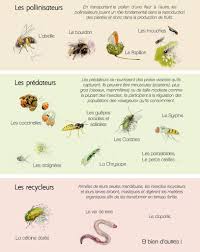 Accueillir Les Insectes Au Jardin Le Jardin Therapeuthique D Oreda Ravageurs Du Jardin Jardins Insectes