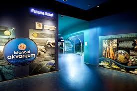 Istanbul Akvaryum Istanbul Akvaryum Nerede Yolcu360