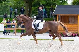 However, i do not how to install it. Desate Misto Libuse Mencke Na Ctvrtecnim Ms Emerlo Jezdci Cz