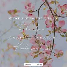 Pin On Inspirational Quotes