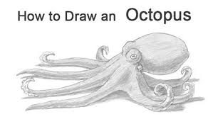 Easy drawing of aquatic animals. How To Draw Animals 50 Free Tutorial Videos To Help You Learn Step By Step