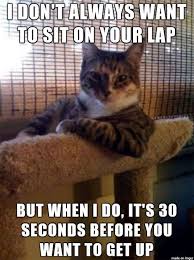 30 Of The Funniest Things Cats Do That Can Literally Drive You Crazy Cute Animals Cat Memes Cats