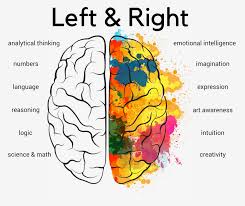 In Yoga And Ayurveda It Is Said That When Both Of Your Nostrils Are Open And Flowing Evenly You Are Right Brain Left Brain Right Brain Emotional Intelligence