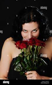 Dark red roses hi-res stock photography and images