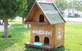 D20haber Denizli Haberleri Pamukkale Belediyesi Nden Kedi Evleri