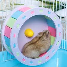 Hamster cages, rat cage with all hamster accessories includes hamster wheel & hamster bedding & hamster chew toys & water bottle & food dish and hamster hideout（blue 2.5 out of 5 stars 13 $35.99 $ 35. Diy Funny Running Hamster Running Wheel Pet Sports Fitness Hamster Jogging Wheel Pvc Disc Toy Hamster Pet Supplies Exercise Wheels Aliexpress