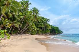 750 Tropical Beach Pictures Download Free Images On Unsplash
