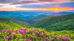 The #1 best value of 794 places to stay in north carolina coast. North Carolina 2021 Top 10 Touren Aktivitaten Mit Fotos Erlebnisse In North Carolina Usa Getyourguide