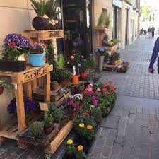 Floristería Bonsai Floristas