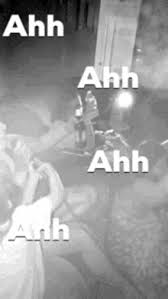 So sexc) squidward x reader. Aaahhhhhh Gifs Tenor