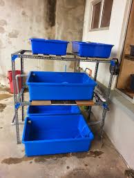 Udang galah merupakan jenis udang yang masuk dalam spesies. Sila Edit Tajuk Thread Ini Dan Patuhi Peraturan Baru Pd Sub Section Trading Zone Page 15 Carigold Forum