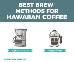 We did not find results for: Hawaiian Coffee Everything You Need To Know