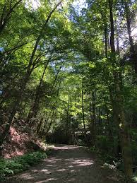 Hiking project is built by hikers like you. Chester Blandford State Forest 2021 All You Need To Know Before You Go With Photos Tripadvisor