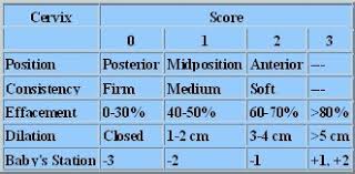 Image result for Bishop Score