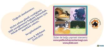 Nikah Sekeri Yerine Alternatif Fatih Belediyesi Yedikule Hayvan Barinagi
