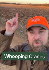Protecting Alabama's Biodiversity and Whooping Cranes