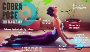 Are You Making These 7 Mistakes In Cobra Pose Cobra Pose Yoga Cobra Pose Yoga Anatomy