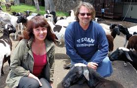 A Peaceful Animal Kingdom Local Couple Rescues Animals In Need West Hawaii Today Share doreen virtue quotations about angels, energy and feelings. a peaceful animal kingdom local couple