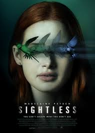 19 best thriller movies on netflix india. Sightless 2020 Imdb