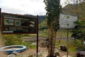 Tombak Sulusulu