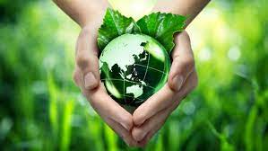 Decreased water availability will have economic and environmental impacts. What Is Theme History And Significance Of World Environment Day Deccan Herald