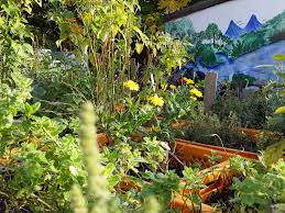 Urban Gardening In Nurnberg Stadtportal Nurnberg