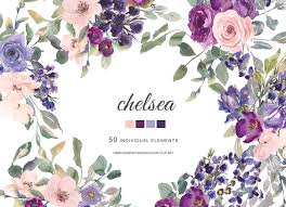 | view 1,000 purple flower illustration, images and graphics from +50,000 possibilities. Watercolor Plum Lavender Blush Pink Dark Purple Flowers Clipart Roses By Patishop Art Thehungryjpeg Com