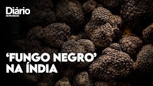 Dois possíveis casos de mucormicose, doença também conhecida como fungo negro ou fungo preto, são investigados na paraíba. Fungo Negro Que Infecta Pacientes Com Covid Na India Faz Estados Declararem Epidemia Mundo Diario Do Nordeste
