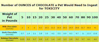 Chocolate Intoxication In Pets Not So Sweet Criticalcaredvm