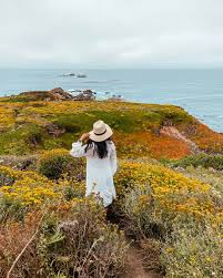 We did not find results for: 5 Wildflower And Flower Fields In The Bay Area A Charming Escape