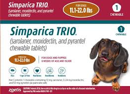 Sign up for more information about our private lessons. Simparica Trio