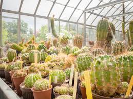 ¿has estado en jardin des plantes? Visite Des Serres Du Jardin Des Plantes De Nantes