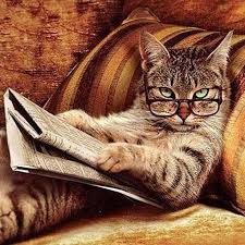 Buy The Smart Cat | Diamond Painting Canada