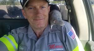 I brought Fagen ( B&W) home from the vet. His brother, Deacon actually  kissed him in greeting. Usually they are like Caine and Abel.