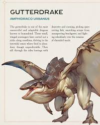 Image result for Heteromorpha involucrata