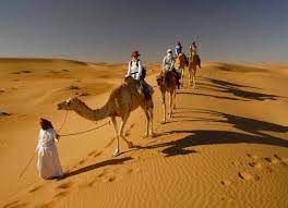Check spelling or type a new query. Camel Caravans To Madinah To Start Soon Kingdom S New Initiative To Learn Prophet S Hijrah Journey The Milli Chronicle