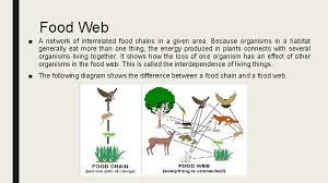 A heterotroph is not capable of making its own food. Food Chains And Food Webs Food Chain A