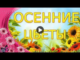 андрей дементьев стихи никогда ни о чём не жалейте Podelis Pozitivom So Znakomymi Druzyami I Kollegami Osen Pozitiv Dlya Druzej Osennie Cvety Istochnik Radosti I Krasoty Muzykal Osennie Cvety Otkrytki Cvety