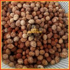 Benih Pokok Bidara Arab Sebiji Shopee Malaysia