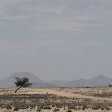 Enquanto estou viva e cheia de graça talvez ainda faça um monte de gente feliz. Ana Do Carmo Entrevista A Realizadora Ana Delgado Martins Na Radio Comercial By Real Ficcao