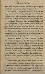 Image result for Aneilema dispermum